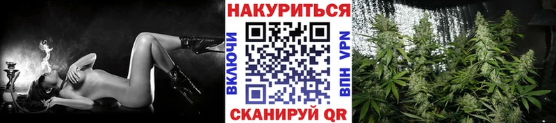 Конопля гибрид  закладки  Бердск 